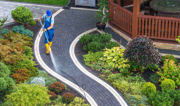 Best Roof Power Washing Services  in Shelbyville, KY